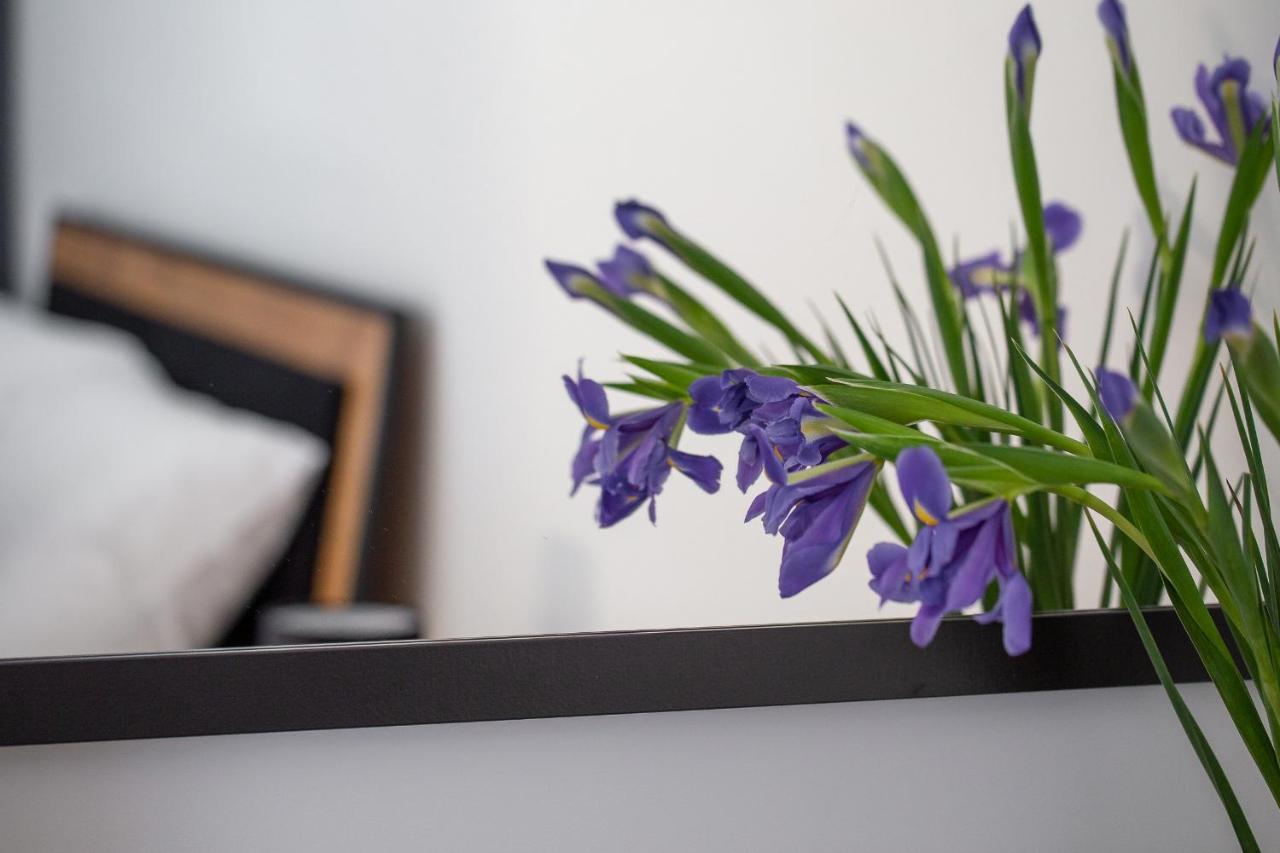 Apartament Ksiezycowy - Mlyn Maria - Art Apartments Wroclaw Ngoại thất bức ảnh