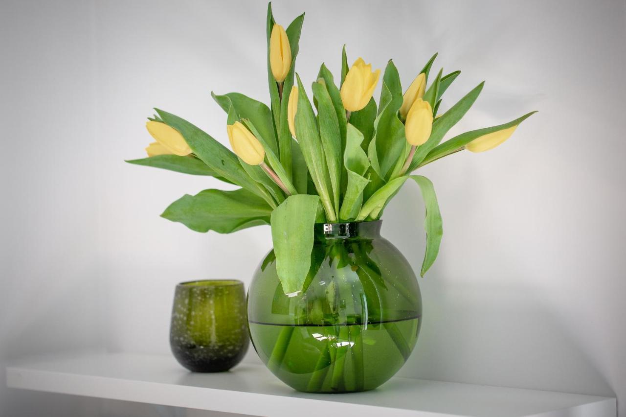Apartament Ksiezycowy - Mlyn Maria - Art Apartments Wroclaw Ngoại thất bức ảnh